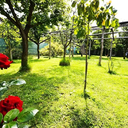 Villa Limoneto B *